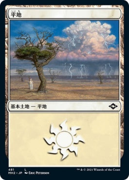 naokuroshop MTG [MH2][481][土地][C][JP][平地/Plains] NM