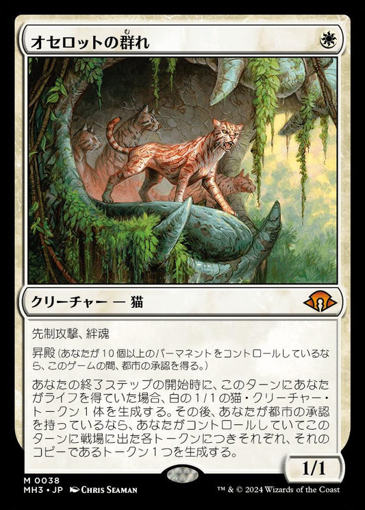 naokuroshop MTG [MH3][0038][白][M][JP][オセロットの群れ/Ocelot Pride]（foil） NM