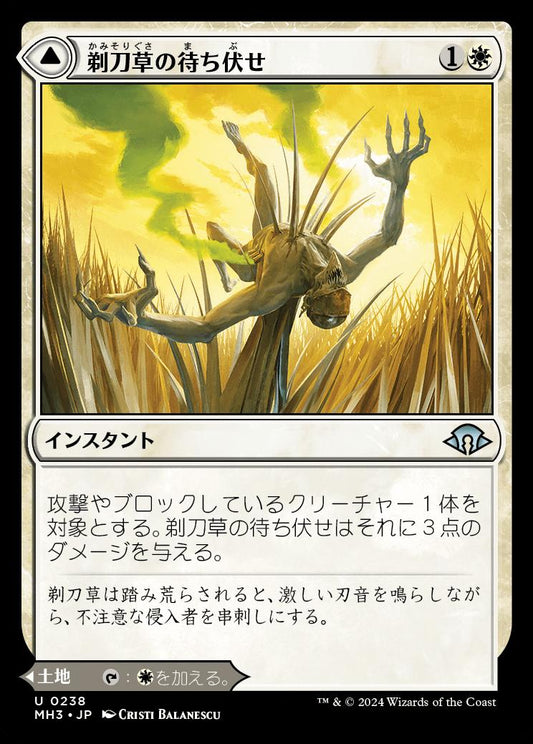 naokuroshop MTG [MH3][0238][白][U][JP][剃刀草の待ち伏せ/Razorgrass Ambush]（foil） NM