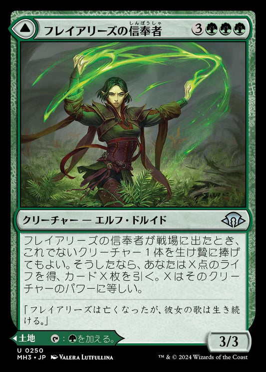 naokuroshop MTG [MH3][0250][緑][U][JP][フレイアリーズの信奉者/Disciple of Freyalise]（foil） NM