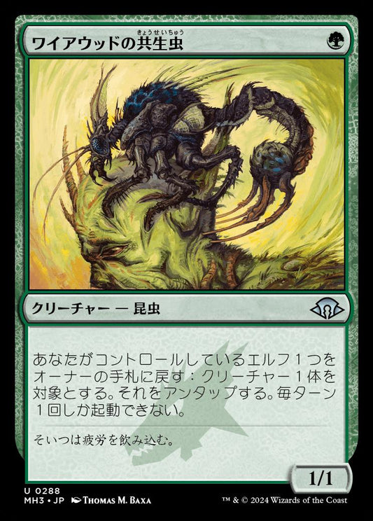 naokuroshop MTG [MH3][0288][緑][U][JP][ワイアウッドの共生虫/Wirewood Symbiote] NM