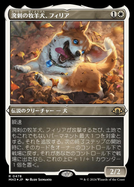 naokuroshop MTG [MH3][0478][白][R][JP][溌剌の牧羊犬、フィリア/Phelia, Exuberant Shepherd] NM