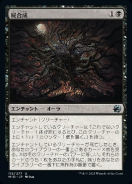 naokuroshop MTG [MID][115][黒][U][JP][屍合成/Necrosynthesis]（foil） NM