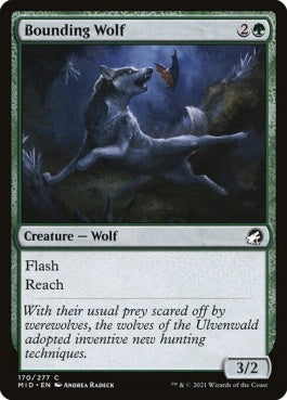 naokuroshop MTG [MID][170][緑][C][EN][跳ねる狼/Bounding Wolf]（foil） NM