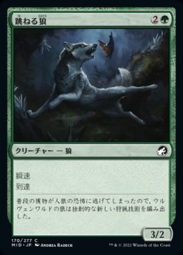 naokuroshop MTG [MID][170][緑][C][JP][跳ねる狼/Bounding Wolf]（foil） NM