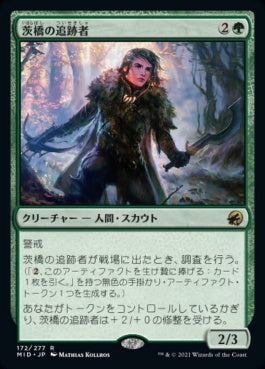 naokuroshop MTG [MID][172][緑][R][JP][茨橋の追跡者/Briarbridge Tracker]（foil） NM