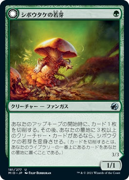 naokuroshop MTG [MID][181][緑][U][JP][シボウタケの若芽/Deathbonnet Sprout]（foil） NM