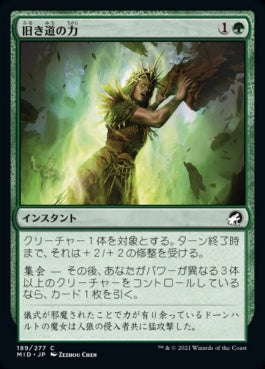 naokuroshop MTG [MID][189][緑][C][JP][旧き道の力/Might of the Old Ways]（foil） NM