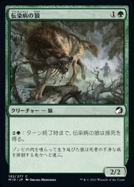 naokuroshop MTG [MID][192][緑][C][JP][伝染病の狼/Pestilent Wolf]（foil） NM