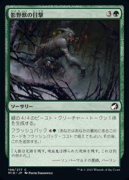 naokuroshop MTG [MID][198][緑][C][JP][影野獣の目撃/Shadowbeast Sighting]（foil） NM