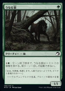 naokuroshop MTG [MID][199][緑][C][JP][うなる狼/Snarling Wolf]（foil） NM