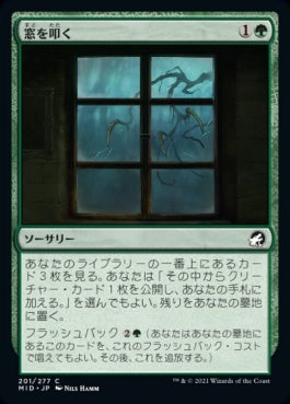 naokuroshop MTG [MID][201][緑][C][JP][窓を叩く/Tapping at the Window]（foil） NM