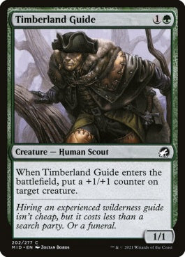 naokuroshop MTG [MID][202][緑][C][EN][森林地の先達/Timberland Guide]（foil） NM