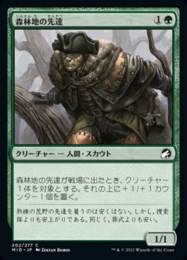 naokuroshop MTG [MID][202][緑][C][JP][森林地の先達/Timberland Guide]（foil） NM