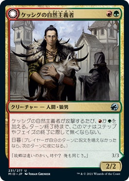 naokuroshop MTG [MID][231][多][U][JP][ケッシグの自然主義者/Kessig Naturalist]（foil） NM