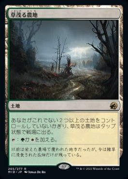 naokuroshop MTG [MID][265][土地][R][JP][草茂る農地/Overgrown Farmland]（foil） NM