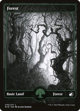 naokuroshop MTG [MID][276][土地][C][EN][森/Forest] NM