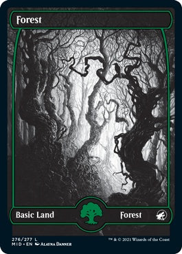 naokuroshop MTG [MID][276][土地][C][JP][森/Forest]（foil） NM