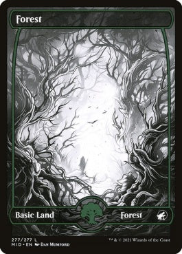 naokuroshop MTG [MID][277][土地][C][EN][森/Forest]（foil） NM