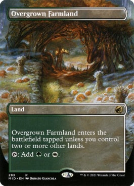 naokuroshop MTG [MID][283][土地][R][EN][草茂る農地/Overgrown Farmland]（foil） NM