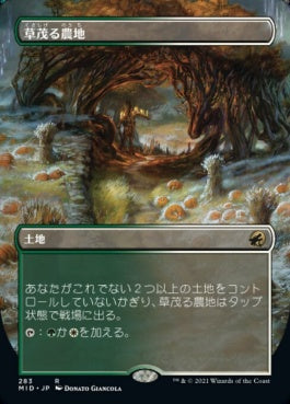 naokuroshop MTG [MID][283][土地][R][JP][草茂る農地/Overgrown Farmland]（foil） NM