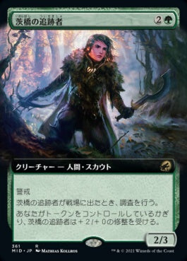 naokuroshop MTG [MID][361][緑][R][JP][茨橋の追跡者/Briarbridge Tracker]（foil） NM