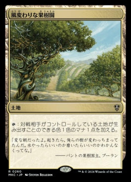 naokuroshop MTG [MKC][0260][土地][R][JP][風変わりな果樹園/Exotic Orchard] NM