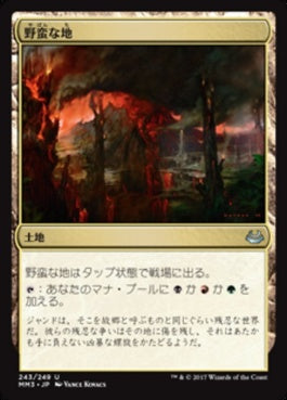 naokuroshop MTG [MM3][243][土地][U][JP][野蛮な地/Savage Lands] NM