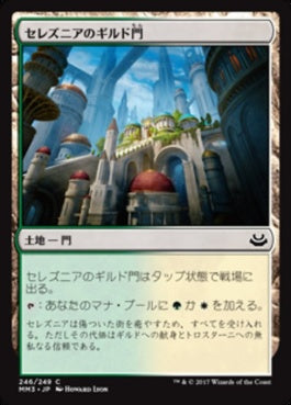 naokuroshop MTG [MM3][246][土地][C][JP][セレズニアのギルド門/Selesnya Guildgate] NM