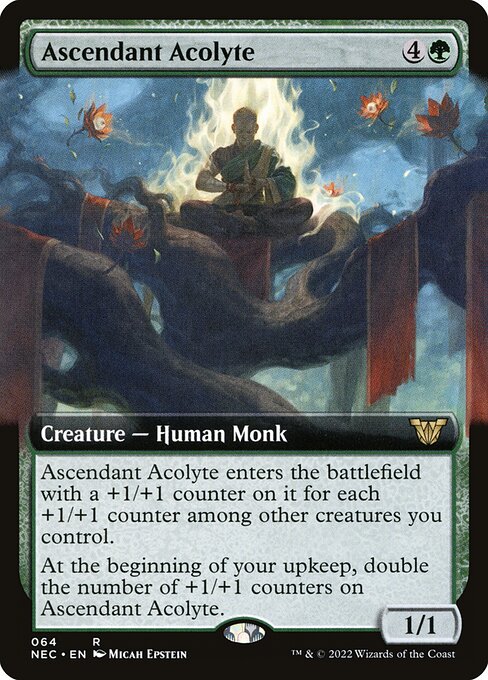 naokuroshop MTG [NEC][0064][緑][R][[EN][隆盛する侍僧/Ascendant Acolyte] NM