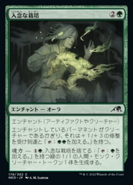 naokuroshop MTG [NEO][178][緑][C][JP][入念な栽培/Careful Cultivation]（foil） NM