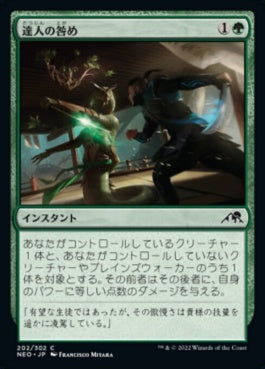 naokuroshop MTG [NEO][202][緑][C][JP][達人の咎め/Master's Rebuke]（foil） NM