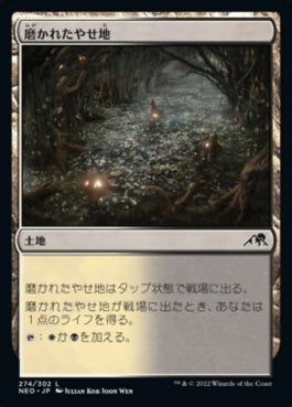 naokuroshop MTG [NEO][274][土地][C][JP][磨かれたやせ地/Scoured Barrens]（foil） NM