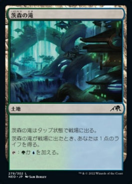 naokuroshop MTG [NEO][279][土地][C][JP][茨森の滝/Thornwood Falls] NM