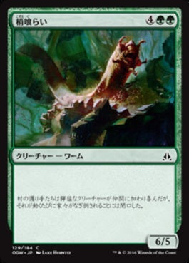 naokuroshop MTG [OGW][129][緑][C][JP][梢喰らい/Canopy Gorger] NM