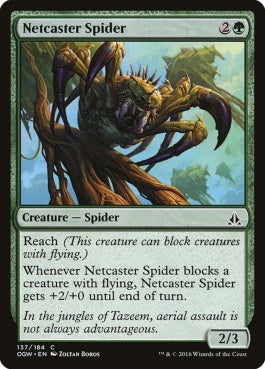 naokuroshop MTG [OGW][137][緑][C][EN][網投げ蜘蛛/Netcaster Spider] NM