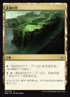 naokuroshop MTG [OGW][181][土地][C][JP][未知の岸/Unknown Shores] NM