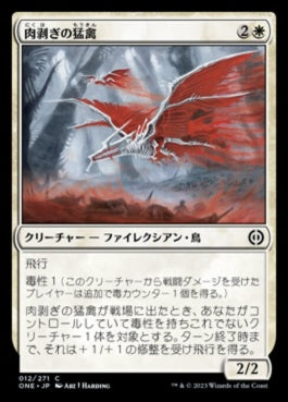 naokuroshop MTG [ONE][012][白][C][JP][肉剥ぎの猛禽/Flensing Raptor]（foil） NM