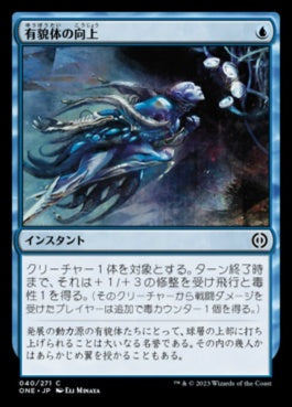 naokuroshop MTG [ONE][040][青][C][JP][有貌体の向上/Aspirant's Ascent]（foil） NM