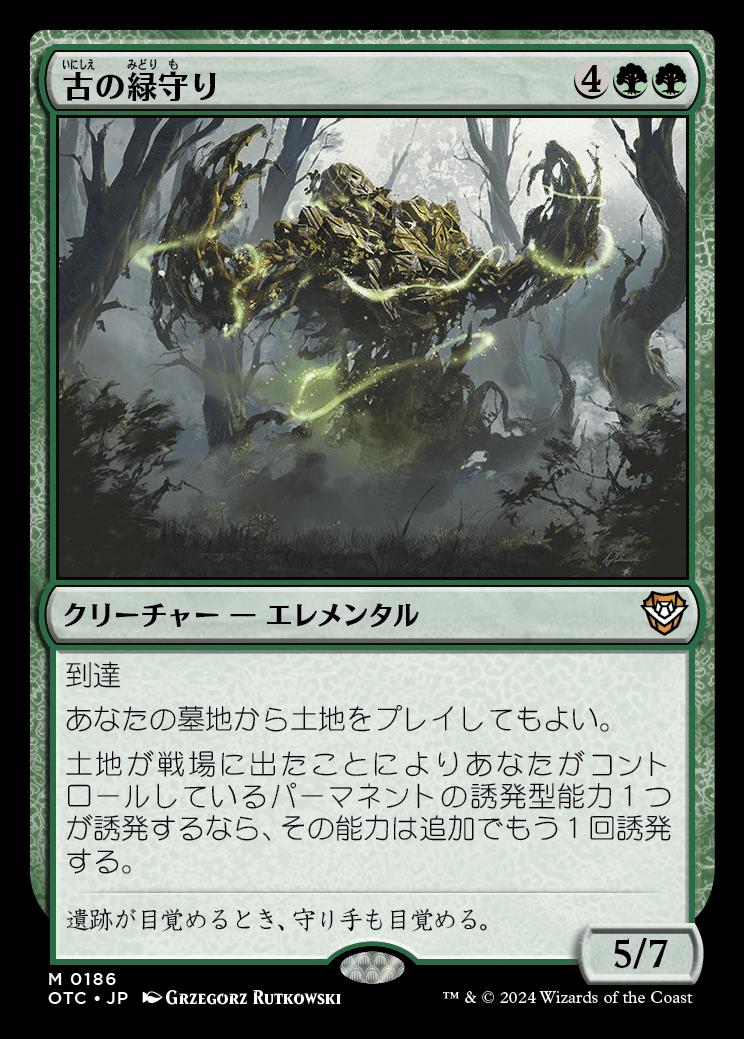 naokuroshop MTG [OTC][0186][緑][M][JP][古の緑守り/Ancient Greenwarden] NM