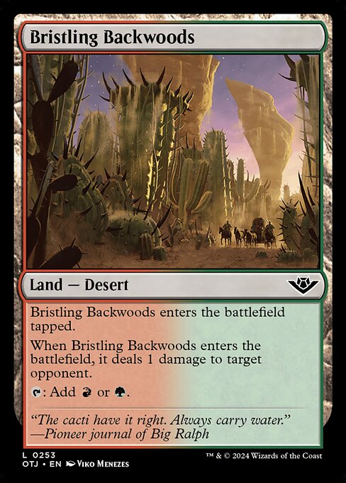 naokuroshop MTG [OTJ][0253][土地][C][EN][逆棘の辺境林/Bristling Backwoods]（foil） NM