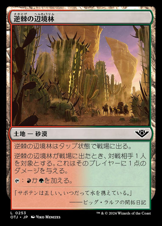 naokuroshop MTG [OTJ][0253][土地][C][JP][逆棘の辺境林/Bristling Backwoods]（foil） NM