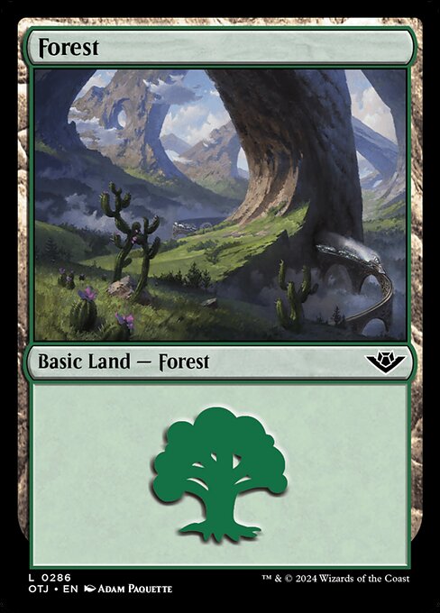 naokuroshop MTG [OTJ][0286][土地][C][EN][森/Forest]（foil） NM