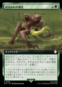 naokuroshop MTG [PIP][0468][緑][R][JP][枝分かれの進化/Branching Evolution]（foil） NM