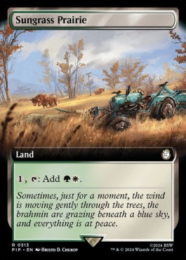 naokuroshop MTG [PIP][0513][土地][R][EN][サングラスの大草原/Sungrass Prairie]（foil） NM