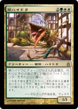 naokuroshop MTG [RAV][218][多][R][JP][草ハイドラ/Phytohydra] NM