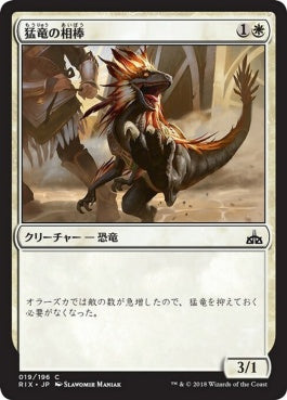 naokuroshop MTG [RIX][019][白][C][JP][猛竜の相棒/Raptor Companion] NM