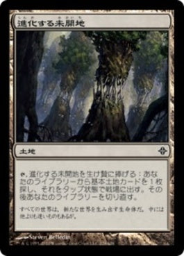 naokuroshop MTG [ROE][228][土地][C][JP][進化する未開地/Evolving Wilds] NM