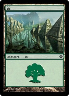 naokuroshop MTG [ROE][246][土地][C][JP][森/Forest] NM