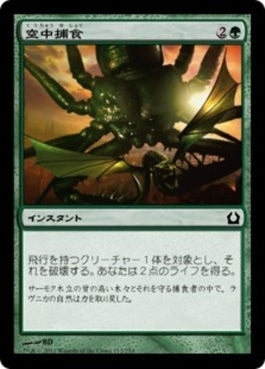 naokuroshop MTG [RTR][113][緑][C][JP][空中捕食/Aerial Predation] NM